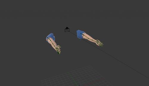 First Person Arm Rig (Wing Rig) preview image